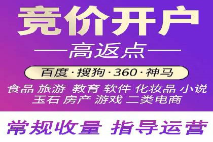 专业SEM代运营托管公司案例分析